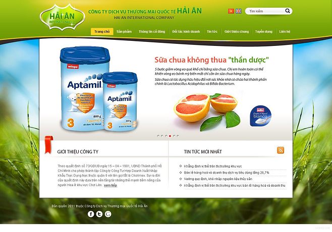 數(shù)據(jù)庫管理系統(tǒng)的網(wǎng)頁界面設(shè)計 用戶體驗與功能性的融合